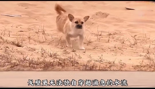 20231107/6549adb29cc73.jpg 1867468731_副本.jpg