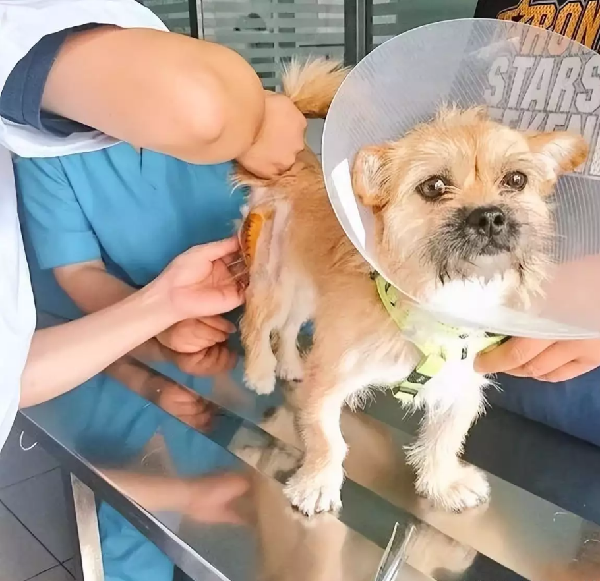 20231107/6549aed59b450.png T0LY2EP%0GIMH}[17@_E~M4_副本.png