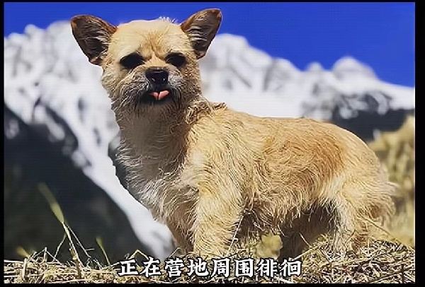 20231107/6549e2f42f64d.jpg 627928289_副本.jpg