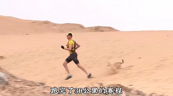 20231107/6549e308d549e.jpg 800769751_副本.jpg