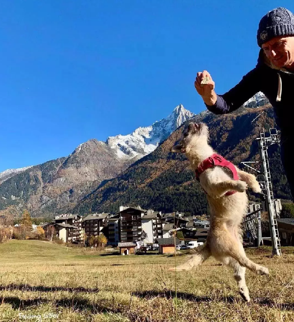 20231107/6549e5afe7e97.png YGU)YLR~G0U9B72O$V1GY3R_副本.png