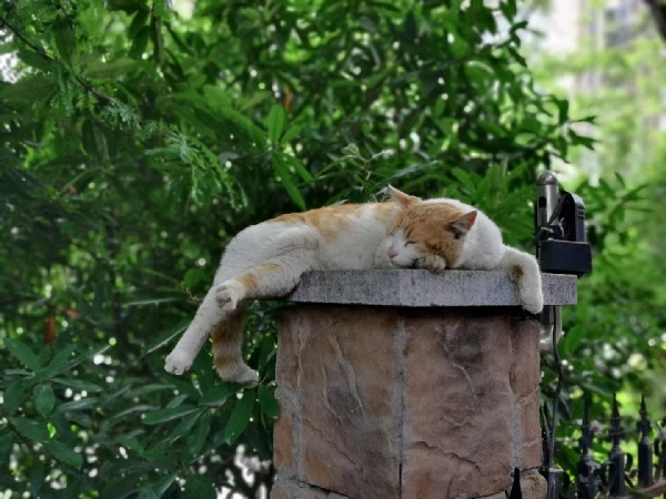 20231116/6555c852ebf91.jpg 497562630_副本.jpg