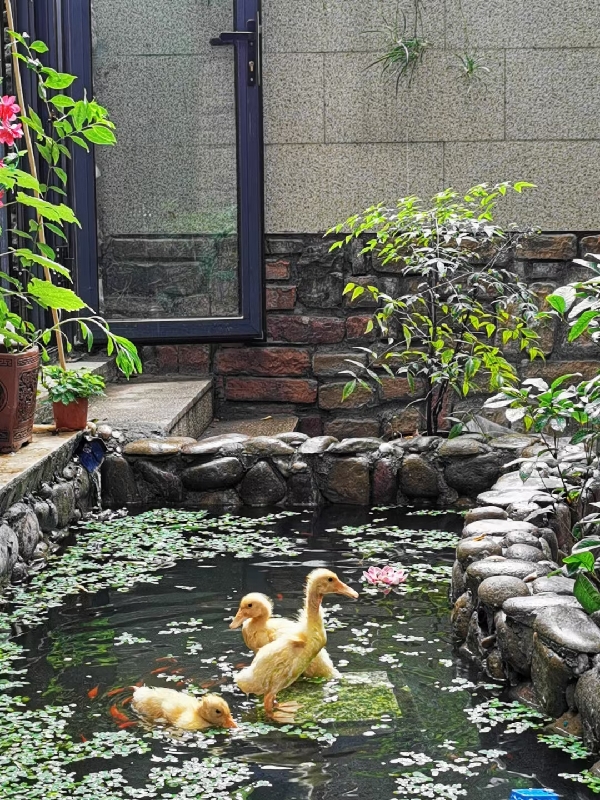 20231116/6555cdb134e8d.jpg 220275296_副本.jpg