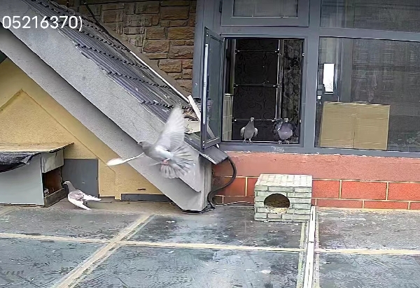 20231116/6555cdbdd105e.jpg 723487762_副本.jpg