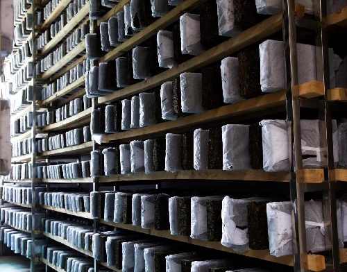 20241128/67482ac251818.jpg 1653564325_副本.jpg