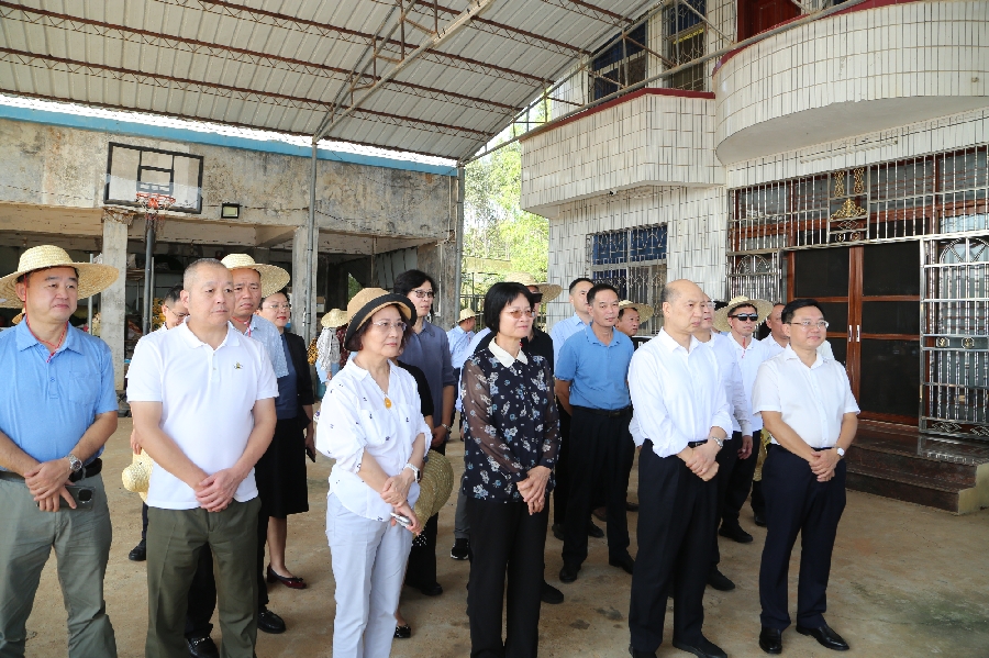 20250206/67a45e91e90f2.jpg 11月14日,调研组在万宁台商种植企业直田农蓄有限公司调研,了解台青创业及参与乡村振兴情况 张旭图.jpg