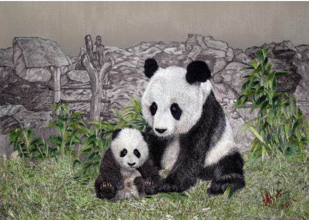 20250318/67d8dea3177f9.png 10.png