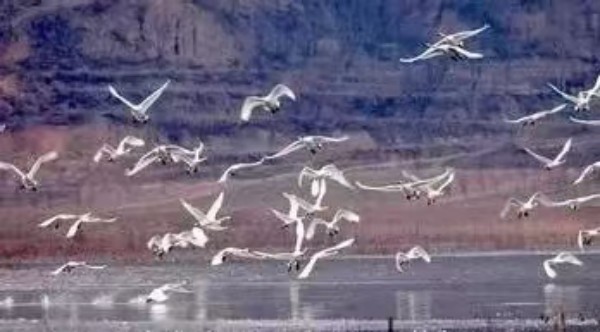 20250407/67f384992d859.jpg 微信图片_20250406130640.jpg