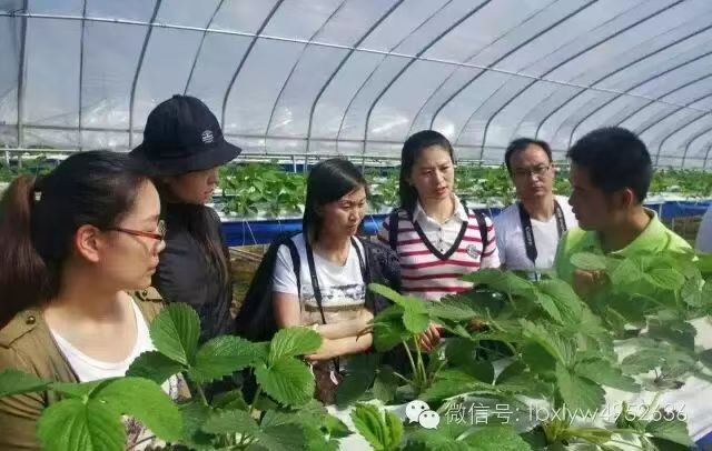 20251104/6909b7956eccd.jpg 967969784.jpg